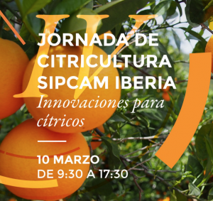 IV Jornada de Citricultura de Sipcam Iberia