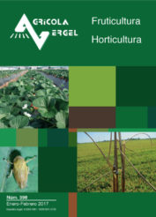 revista agrícola de horticultura, fruticultura, arroz y vid